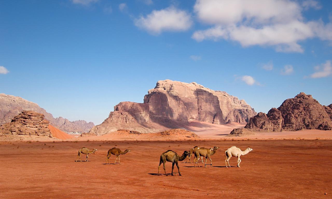 Wadi Rum Moon Light Camp Exterior photo